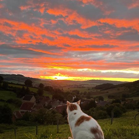 La Petite Maison Dans La Campagne Massingy-lès-Vitteaux Buitenkant foto