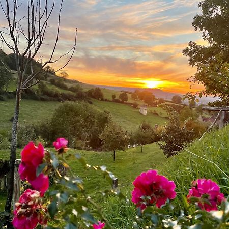 La Petite Maison Dans La Campagne Massingy-lès-Vitteaux Buitenkant foto