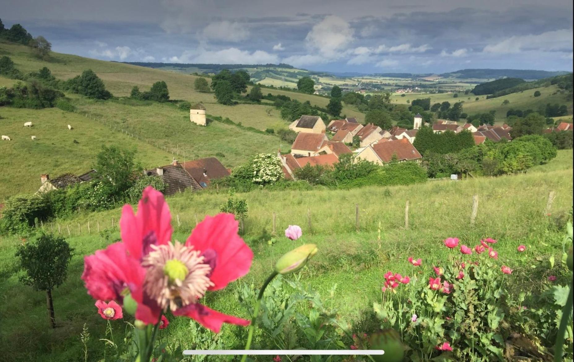 La Petite Maison Dans La Campagne Massingy-lès-Vitteaux Buitenkant foto